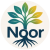 NOOR LOGO (2)